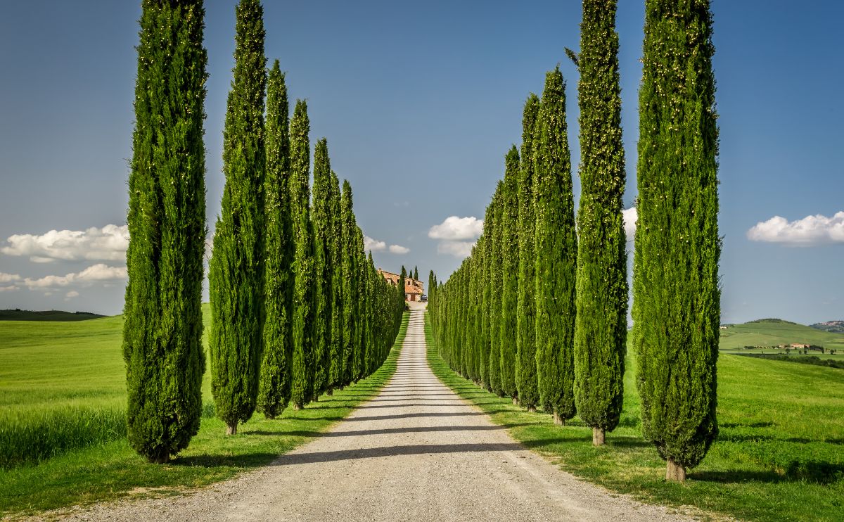 toscana